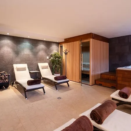 Wellness Drevenica Dağ evi *