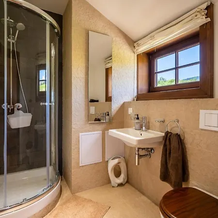 Chalet Wellness Drevenica *