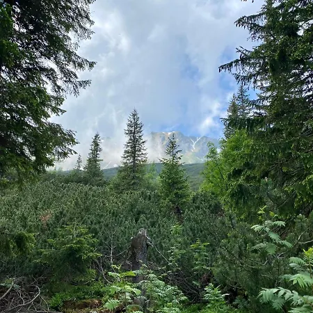 Dağ evi Wellness Drevenica