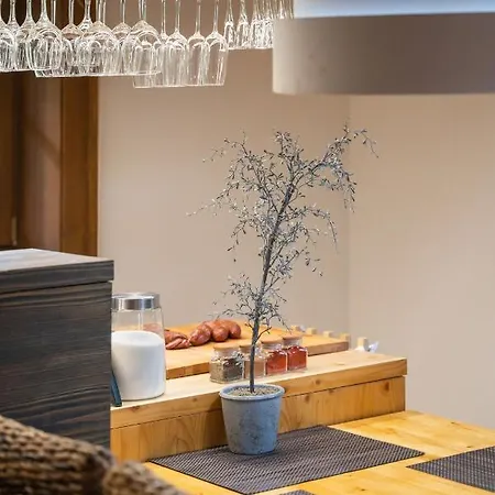 Wellness Drevenica *