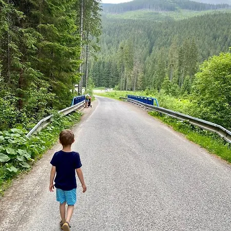 Wellness Drevenica Alpehytte Zuberec