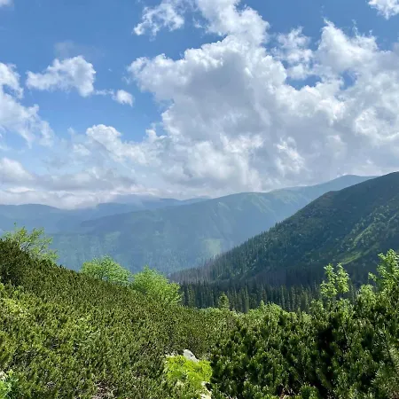 Wellness Drevenica Dağ evi