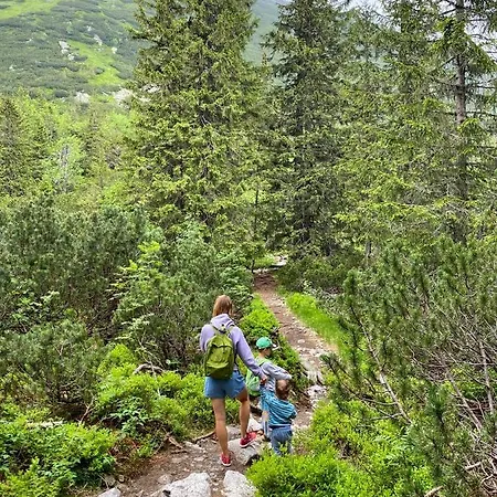 Dağ evi Wellness Drevenica