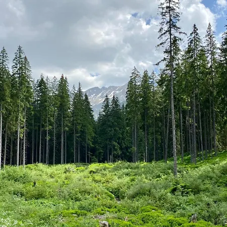 Wellness Drevenica *