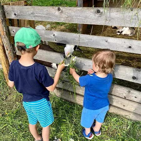 Dağ evi Wellness Drevenica