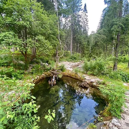 Wellness Drevenica *