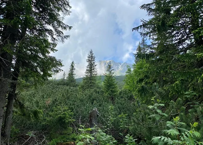 Chalet Wellness Drevenica