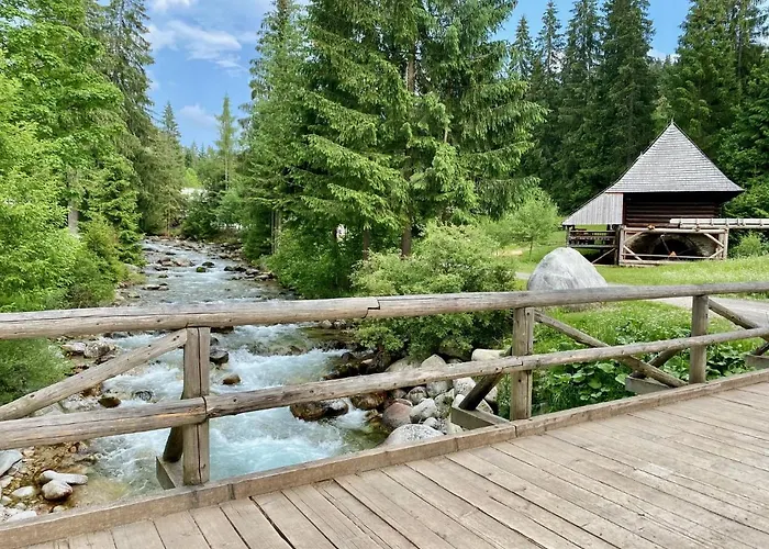 Wellness Drevenica 샬레 *