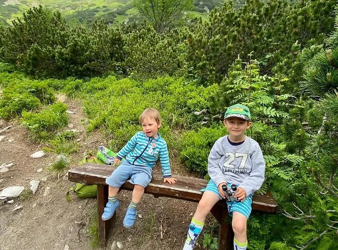 샬레 Wellness Drevenica *